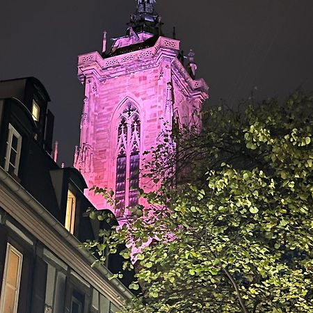Colmar - Le Nichoir - Centre Historique - Parking Gratuit - Box Velo & Poussette Apartment ภายนอก รูปภาพ